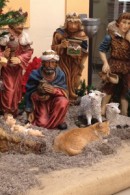 La gatita del pesebre