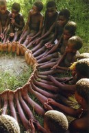 ubuntu